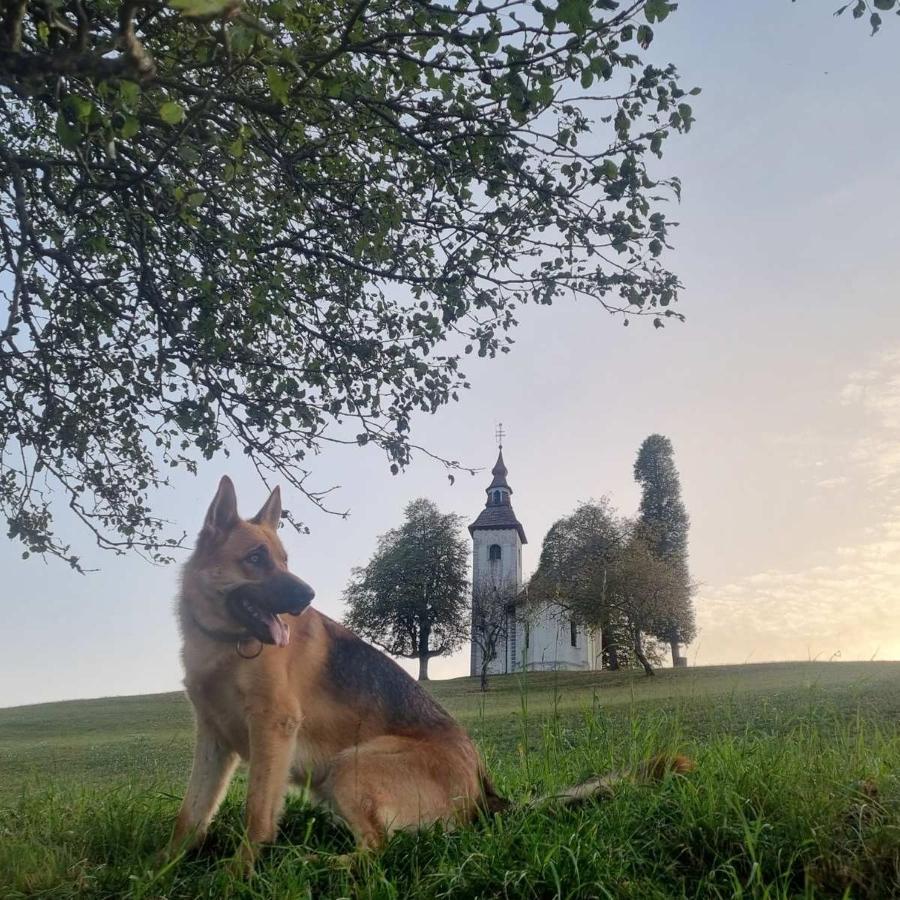 Apartmaji Pr Smolet Škofja Loka Exteriör bild